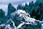 【純玩拼團線路18】下午班：鳳凰古城、張家界、天子山三晚四日游
